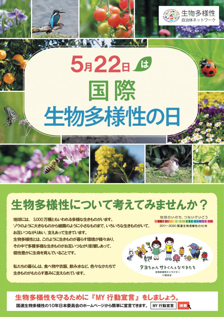 出雲エコなび 別添2 国際生物多様性の日チラシ・ポスター 1